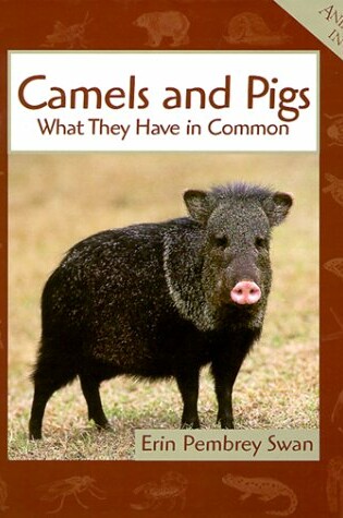 Cover of Camels and Pigs