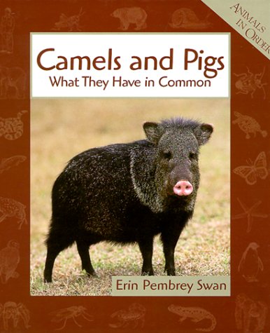 Book cover for Camels and Pigs