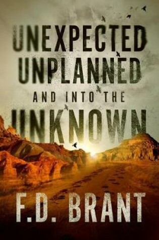 Cover of Unexpected Unplanned and Into the Unknown