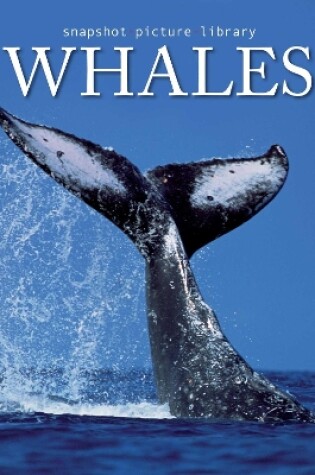 Cover of Whales