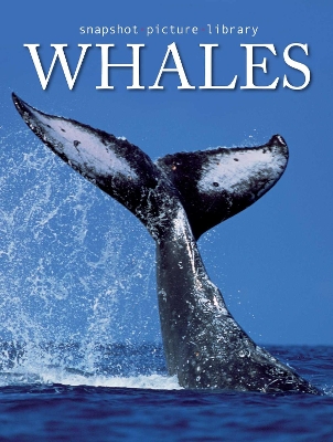 Book cover for Whales