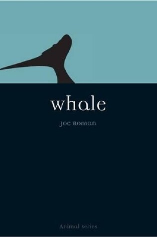 Cover of Whale