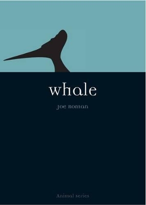 Book cover for Whale