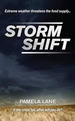 Book cover for Storm Shift