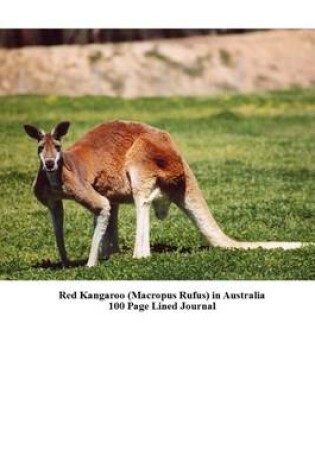 Cover of Red Kangaroo (Macropus Rufus) in Australia 100 Page Lined Journal