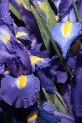 Book cover for Journal Flowers Beautiful Blue Iris