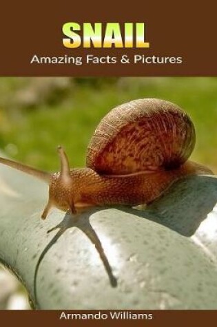 Cover of Snail