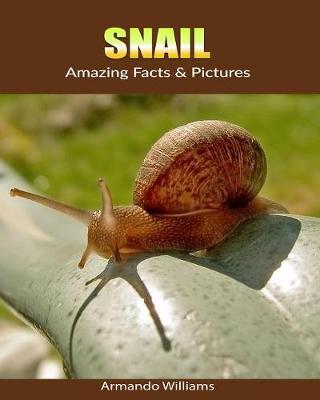 Book cover for Snail