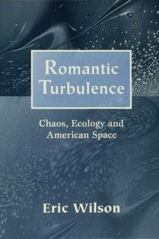 Cover of Romantic Turbulence