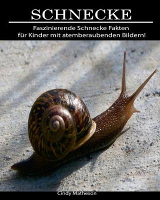 Book cover for Schnecke