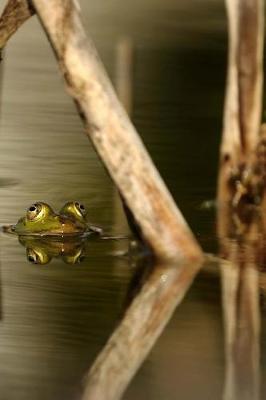 Book cover for Frog in a Bog Journal