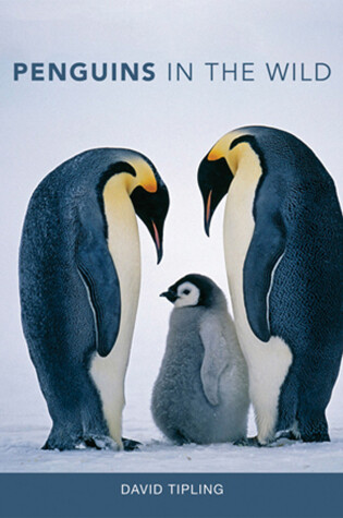 Cover of Penguins in the Wild