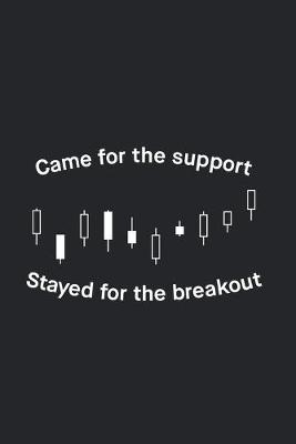 Book cover for Came for the support, stayed for the breakout