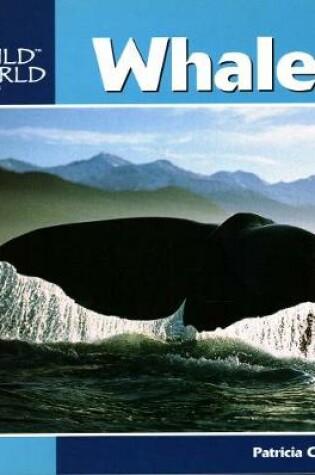 Cover of Whales