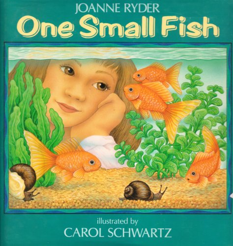 Book cover for One Small Fish