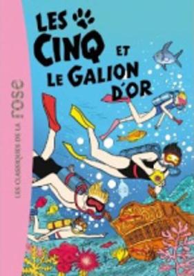 Book cover for Le Club des Cinq 28/Les Cinq et le galion d'or