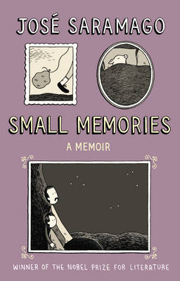 Book cover for Small Memories