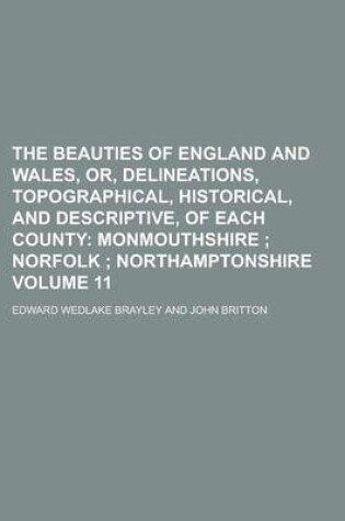 Cover of The Beauties of England and Wales, Or, Delineations, Topographical, Historical, and Descriptive, of Each County Volume 11