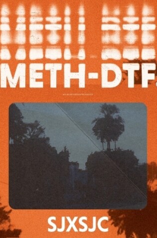 Cover of Meth-DTF.