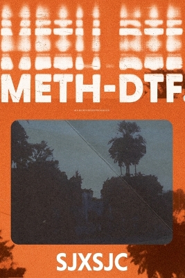 Book cover for Meth-DTF.