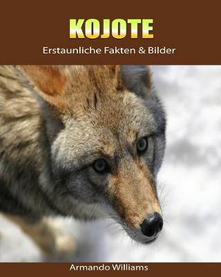 Book cover for Kojote