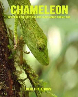 Book cover for Chameleon