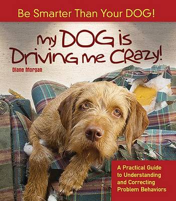 Book cover for My Dog Is Driving Me Crazy!