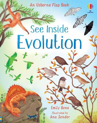 Book cover for See Inside Evolution