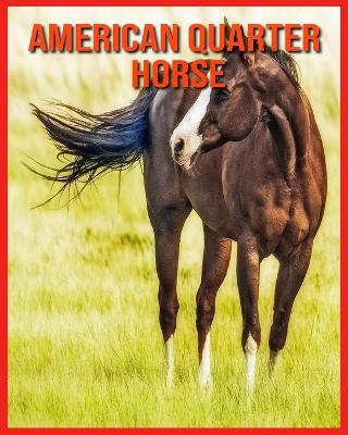 Book cover for American Quarter Horse