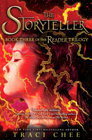 Book cover for The Storyteller