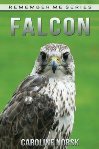 Cover of Falcon