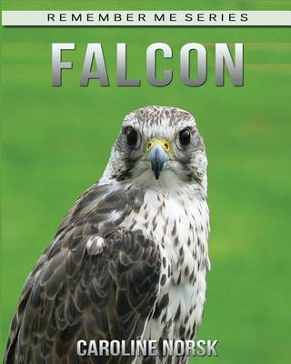 Book cover for Falcon