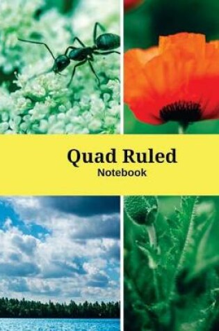 Cover of Quad Ruled Notebook