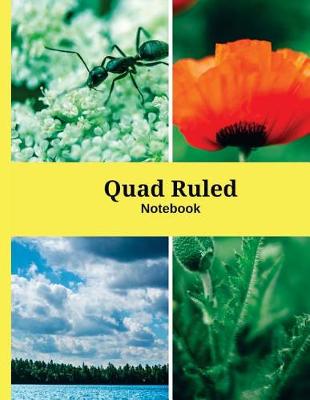 Book cover for Quad Ruled Notebook