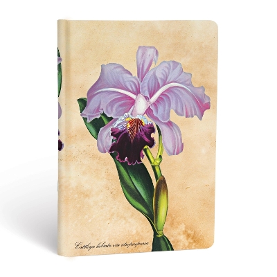 Book cover for Brazilian Orchid Mini Lined Hardcover Journal