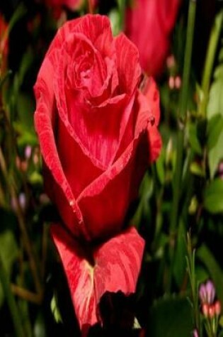 Cover of Floral Journal Red Rose Bouquet