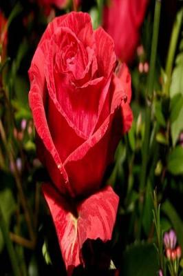 Cover of Floral Journal Red Rose Bouquet