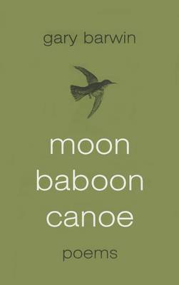 Book cover for Moon Baboon Canoe