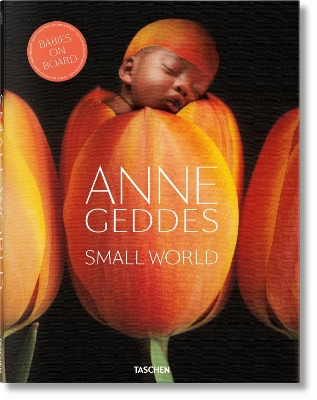 Book cover for Anne Geddes. Small World