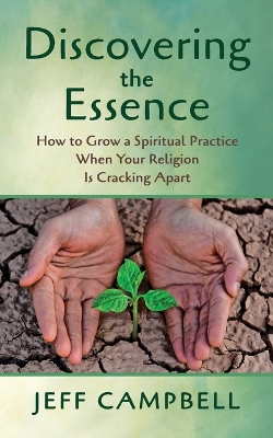 Book cover for Discovering the Essence