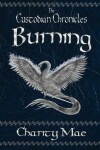 Book cover for The Custodian Chronicles Burning