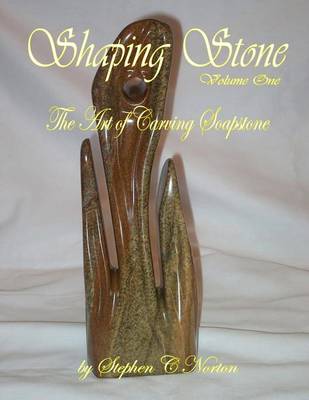 Book cover for Shaping Stone