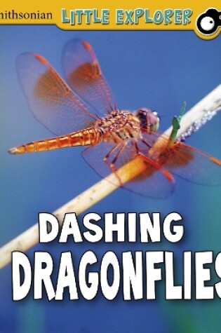 Cover of Dashing Dragonflies