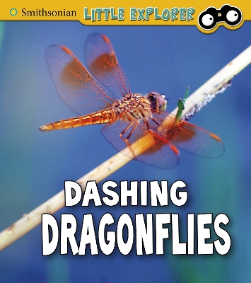 Book cover for Dashing Dragonflies