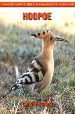 Cover of Hoopoe