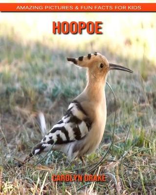 Book cover for Hoopoe