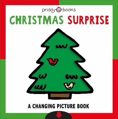 Book cover for Christmas Surprise