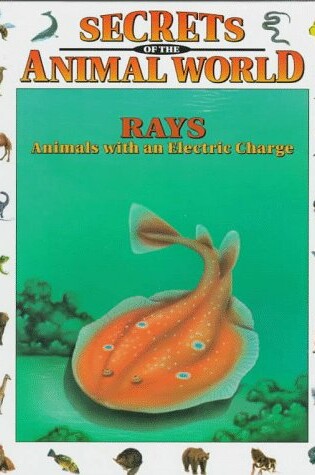 Cover of Rays