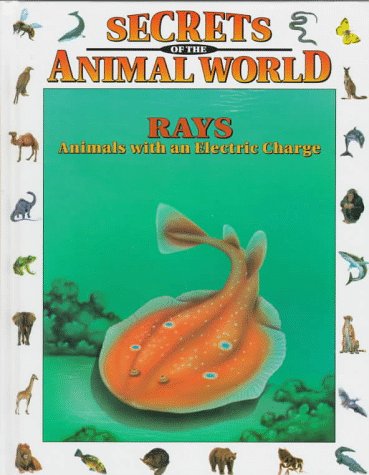 Book cover for Rays