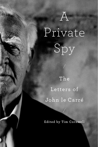 Book cover for A Private Spy